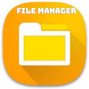 File Manager